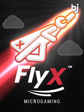 FlyX